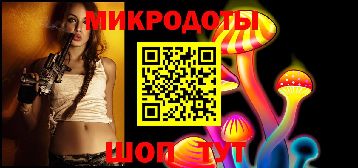 Псилоцибиновые грибы Psilocybe Приморско-Ахтарск